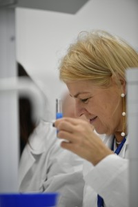 Kliknij, aby powiększyć zdjęcie.